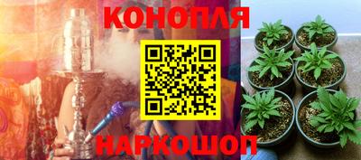 ПСИЛОЦИБИНОВЫЕ ГРИБЫ Чебоксары