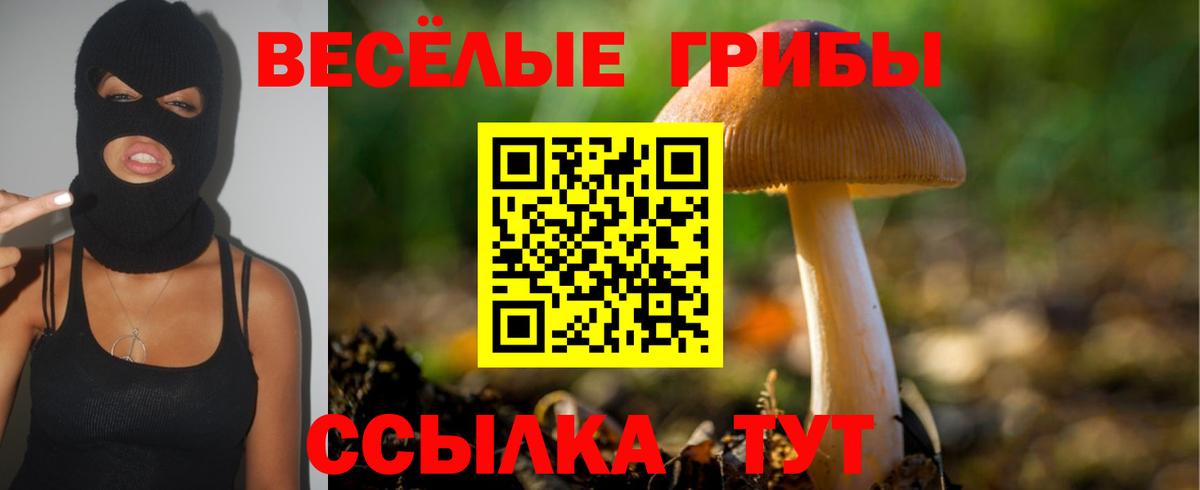 Псилоцибиновые грибы прущие грибы Среднеуральск